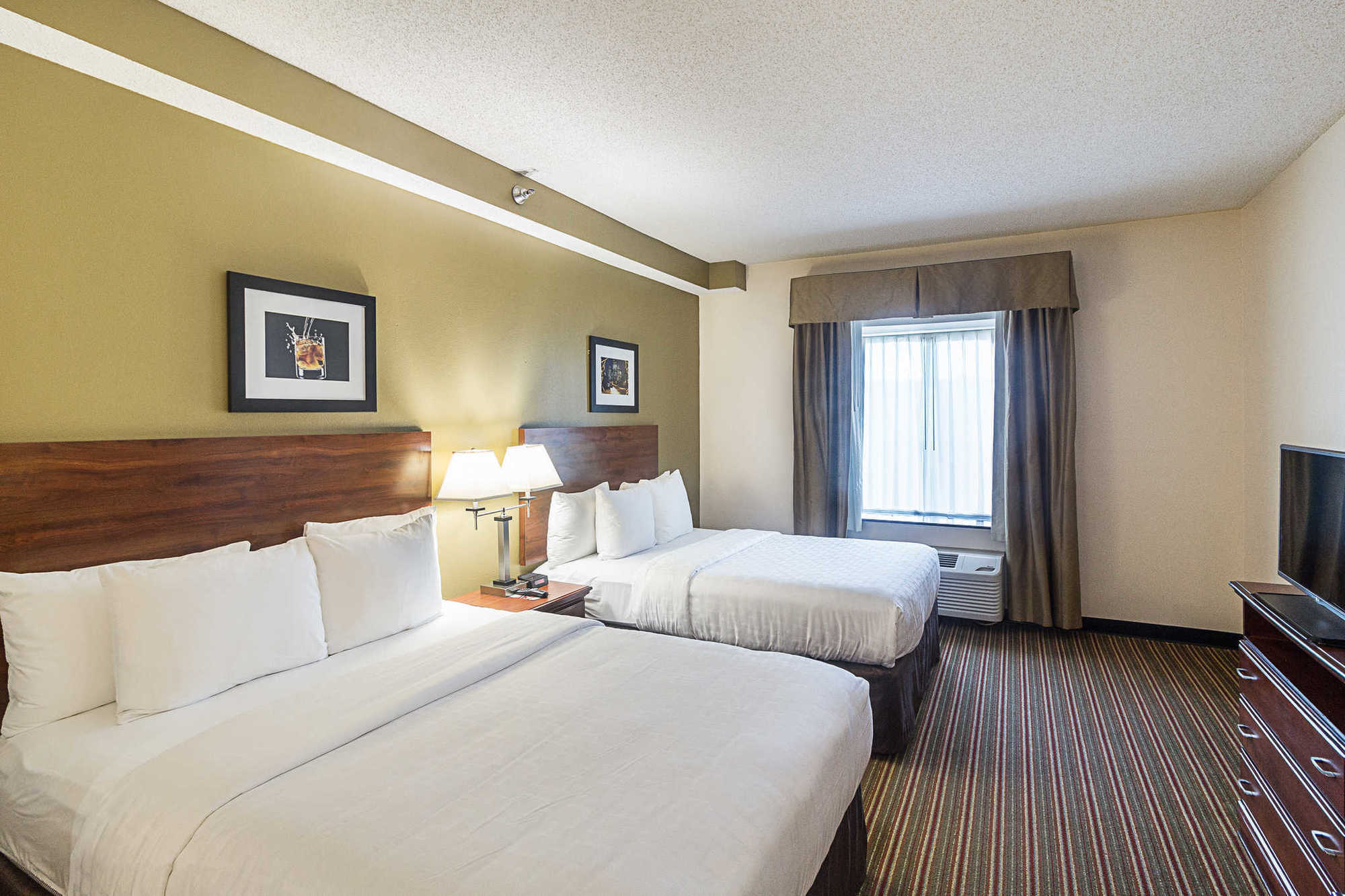 Quality Inn & Suites West Chase Houston Room photo